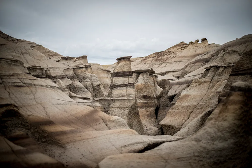 Pale sandstone hoodoos with dark caprocks lining a dry wash in eroded badlands under an overcast sky
