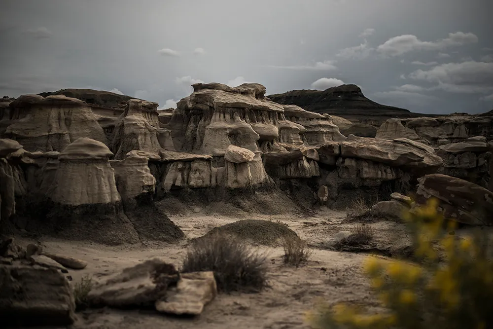 Clustered badlands hoodoos under a grey sky, with yellow rabbitbrush blooming out of focus in the foreground