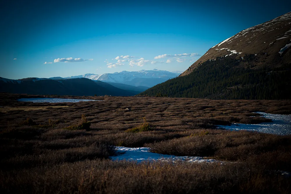 Rust-colored willow flats and threads of snowmelt in an alpine valley, with a snow-streaked ridge beyond